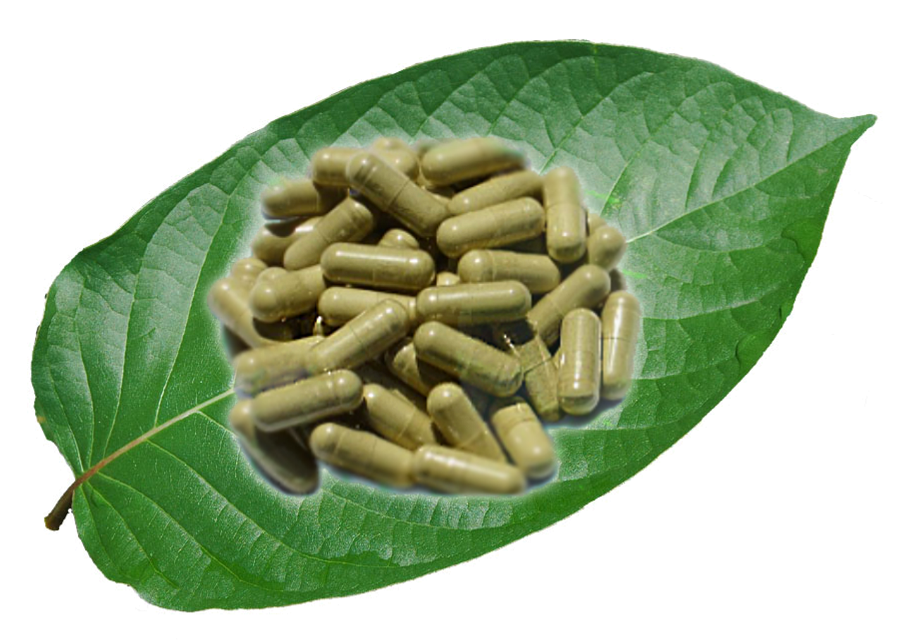 Kratom Capsules Kratom Capsules